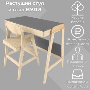 Комплект растущий стол и стул 38 попугаев «Вуди» (Серый, Без покрытия) в Новоуральске - novouralsk.mebel-74.com | фото
