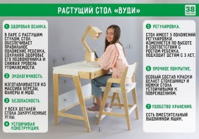 Комплект растущий стол и стул с чехлом 38 попугаев «Вуди» (Белый, Береза, Ромбы) в Новоуральске - novouralsk.mebel-74.com | фото