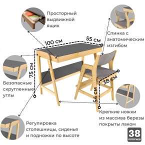 Комплект растущий стол и стул с чехлом 38 попугаев «Вуди» (Серый, Береза, Серый) в Новоуральске - novouralsk.mebel-74.com | фото