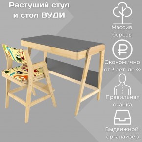 Комплект растущий стол и стул с чехлом 38 попугаев «Вуди» (Серый, Без покрытия, Монстры) в Новоуральске - novouralsk.mebel-74.com | фото
