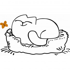 Кровать двухуровневая Кот № 900.1 ПРАВАЯ (туя светлая/белый) в Новоуральске - novouralsk.mebel-74.com | фото