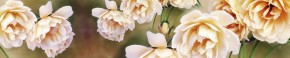 Кухонный фартук Цветы 066 МДФ матовый (3000) Flowers в Новоуральске - novouralsk.mebel-74.com | фото