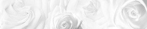 Кухонный фартук Цветы 217 МДФ матовый (3000) Flowers в Новоуральске - novouralsk.mebel-74.com | фото