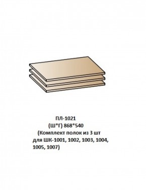 ПЛ-1021 (Комплект полок из 3 шт для ШК-1001, 1002, 1003, 1004, 1005, 1007) в Новоуральске - novouralsk.mebel-74.com | фото