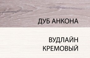 Шкаф 1DZ, OLIVIA, цвет вудлайн крем/дуб анкона в Новоуральске - novouralsk.mebel-74.com | фото