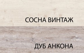 Шкаф 2D1S, MONAKO, цвет Сосна винтаж/дуб анкона в Новоуральске - novouralsk.mebel-74.com | фото