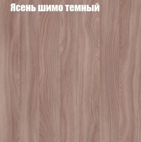 Шкаф-купе «ТАНДЕМ» 3-х дверный в алюминиевом профиле (Дверь К+К+К) 2400/h2200 в Новоуральске - novouralsk.mebel-74.com | фото