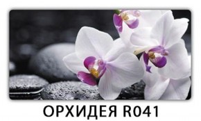 Стол обеденный Трилогия с фотопечатью Орхидея R041 в Новоуральске - novouralsk.mebel-74.com | фото