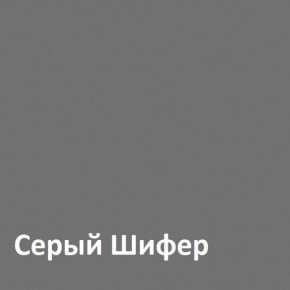 Юнона Шкаф торцевой 13.221 в Новоуральске - novouralsk.mebel-74.com | фото